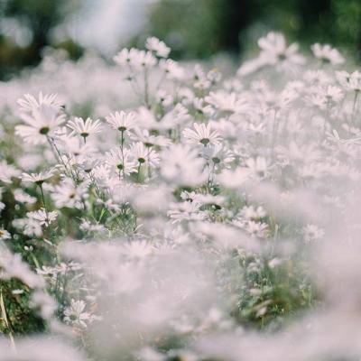 星空体育app下载手机app下载